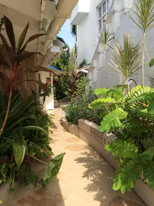 Lush Tropical Apartment Located In A 4-Star Resort Runaway Bay Exteriér fotografie